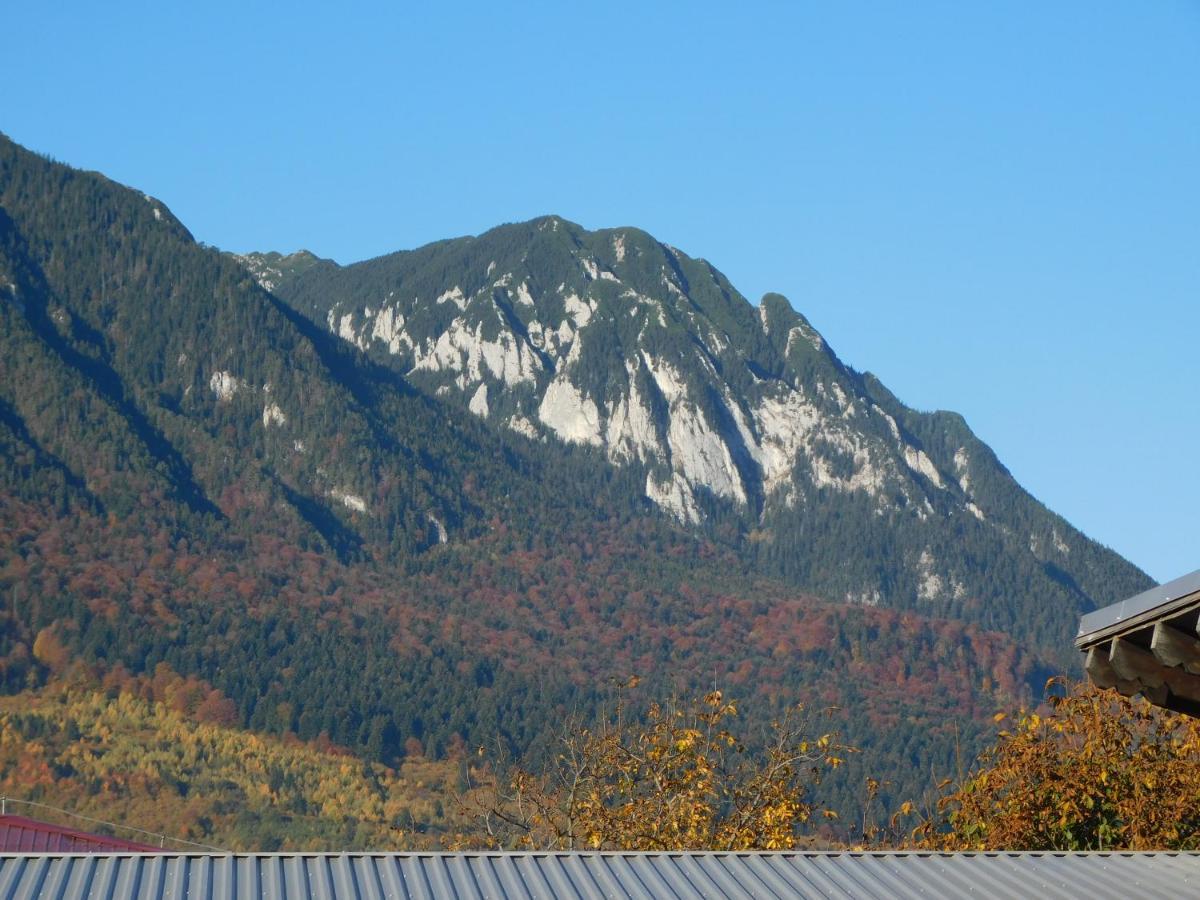 Mountain Vista Suites Zărneşti エクステリア 写真
