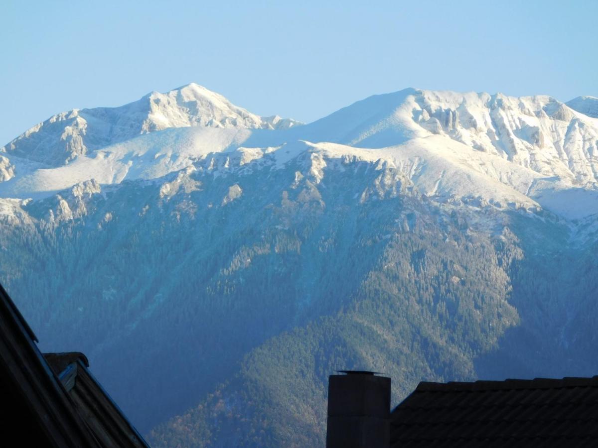 Mountain Vista Suites Zărneşti エクステリア 写真