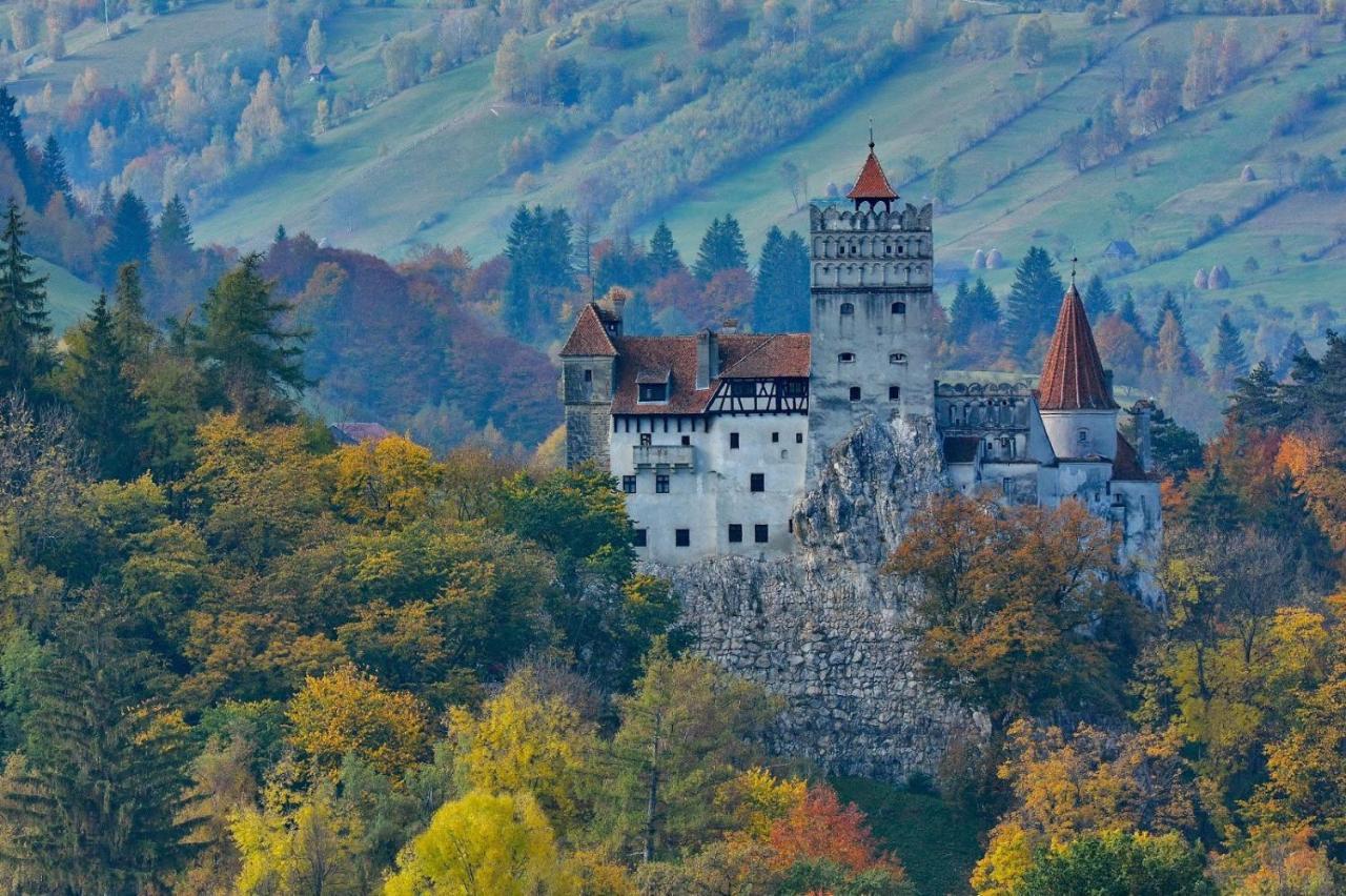Mountain Vista Suites Zărneşti エクステリア 写真