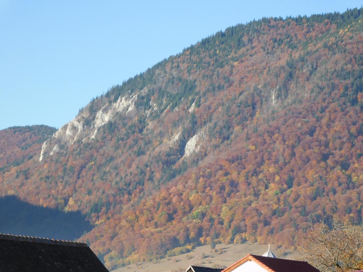 Mountain Vista Suites Zărneşti エクステリア 写真