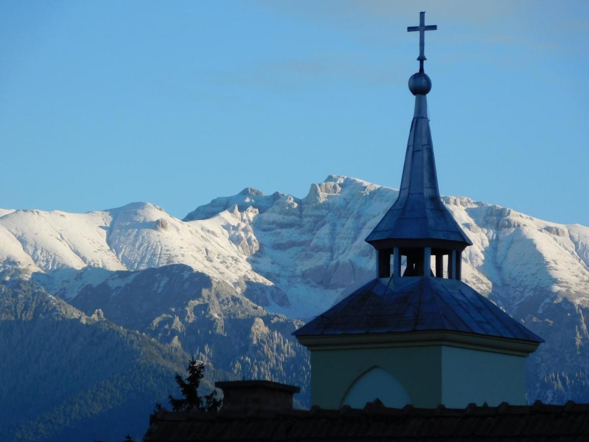 Mountain Vista Suites Zărneşti エクステリア 写真
