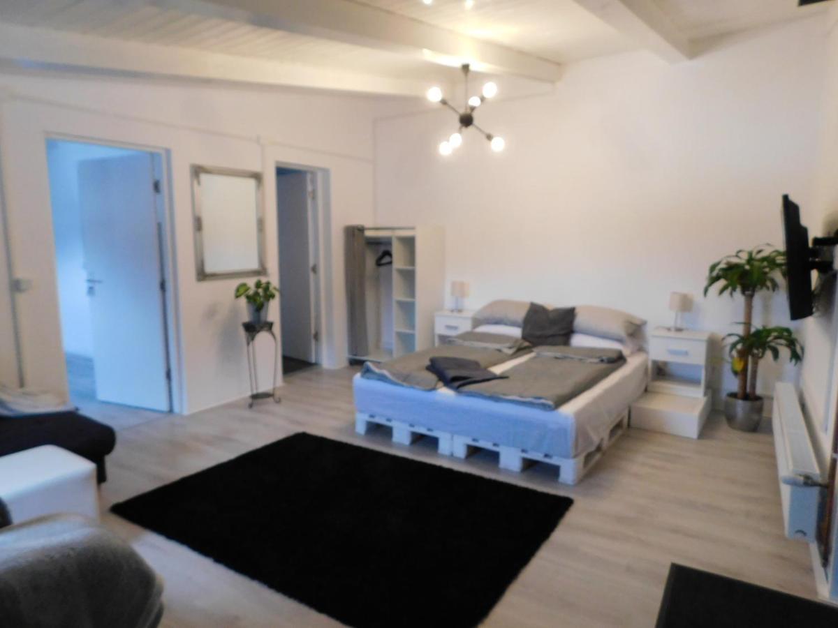 Mountain Vista Suites Zărneşti エクステリア 写真