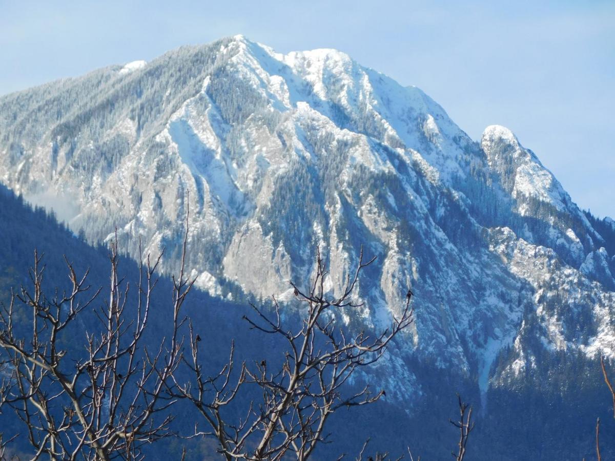 Mountain Vista Suites Zărneşti エクステリア 写真