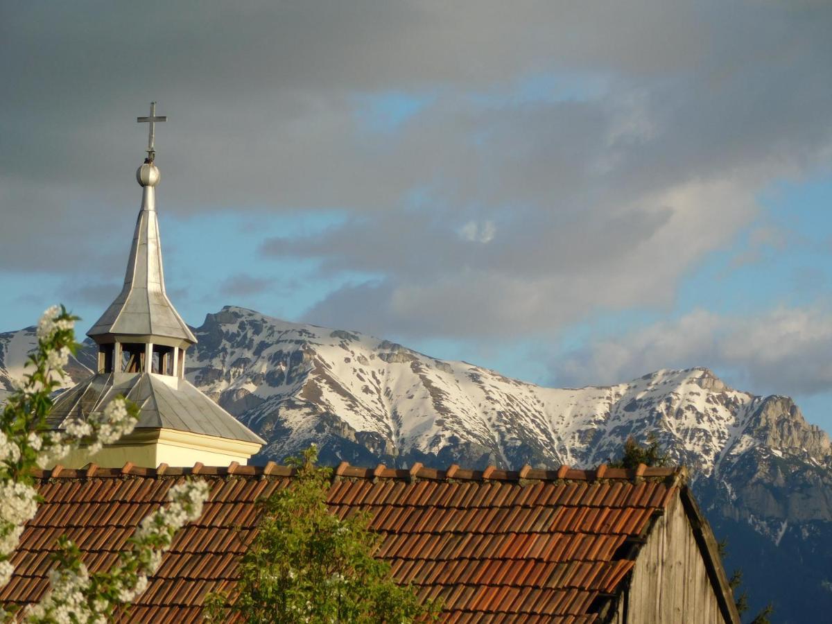 Mountain Vista Suites Zărneşti エクステリア 写真