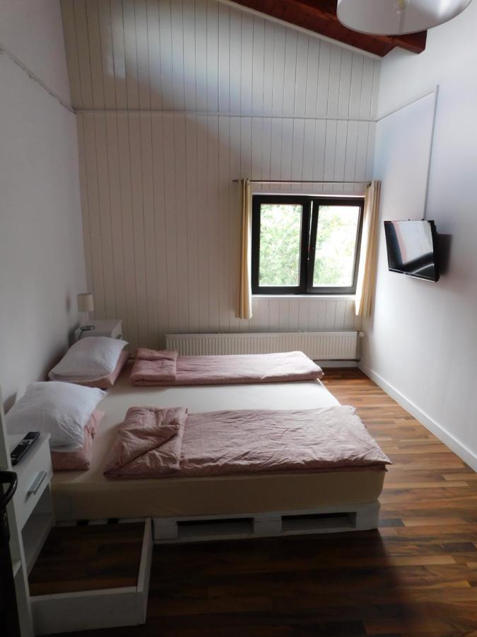Mountain Vista Suites Zărneşti エクステリア 写真