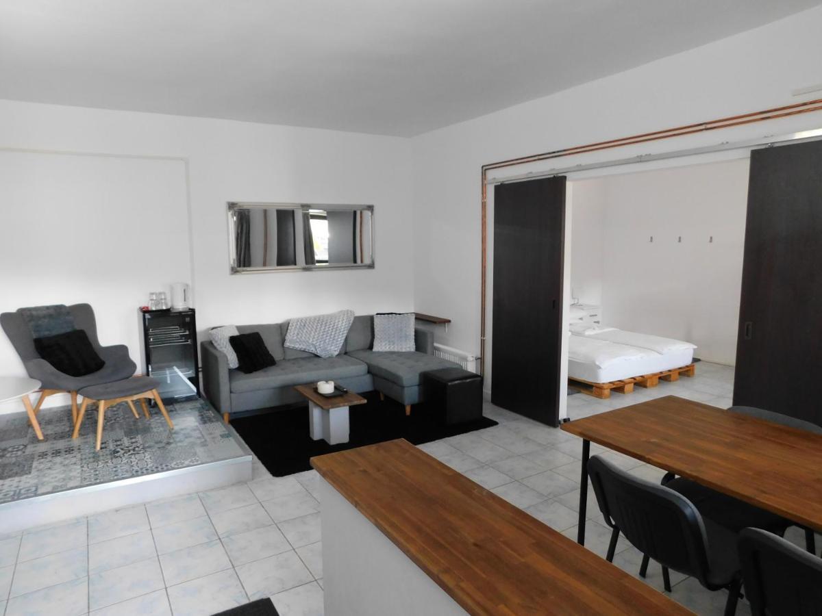 Mountain Vista Suites Zărneşti エクステリア 写真
